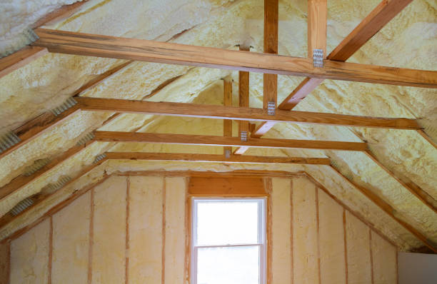 Best Insulation Maintenance and Repair in Minnetonka, MN
