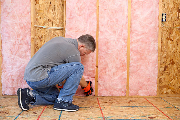 Best Residential Insulation in Minnetonka, MN